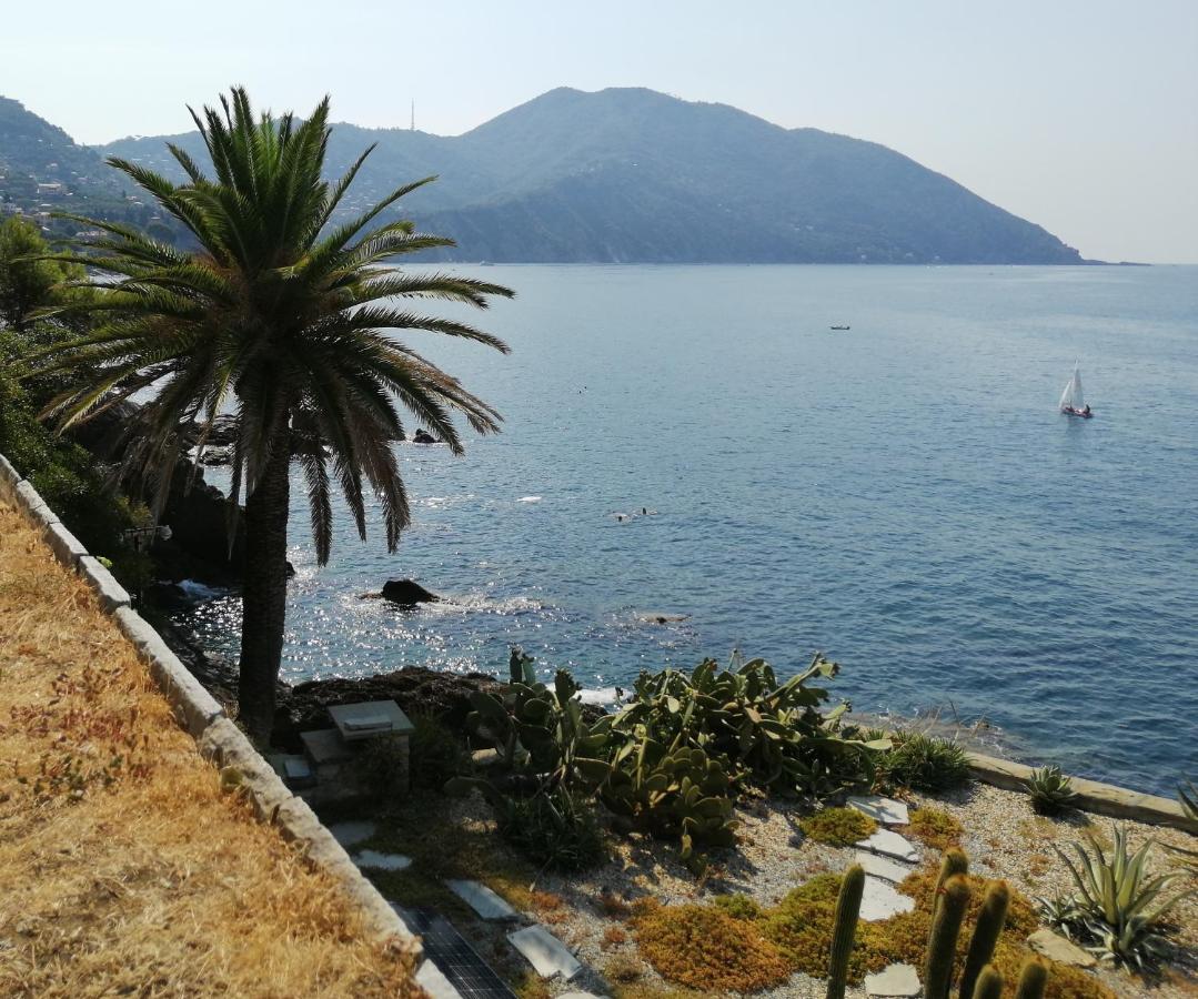 Il Grecale Apartment Recco Exterior photo